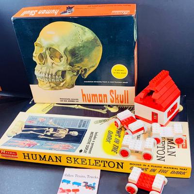 LOT 52: Vintage Renwal Human Skull Life Size Assembly Kit and Human Skeleton Assembly Kit and Lego Building Blocks