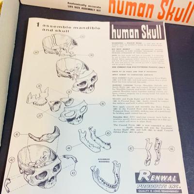 LOT 52: Vintage Renwal Human Skull Life Size Assembly Kit and Human Skeleton Assembly Kit and Lego Building Blocks