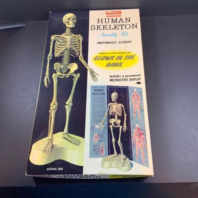 LOT 52: Vintage Renwal Human Skull Life Size Assembly Kit and Human Skeleton Assembly Kit and Lego Building Blocks