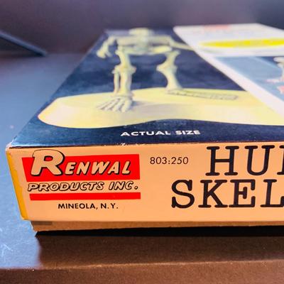 LOT 52: Vintage Renwal Human Skull Life Size Assembly Kit and Human Skeleton Assembly Kit and Lego Building Blocks