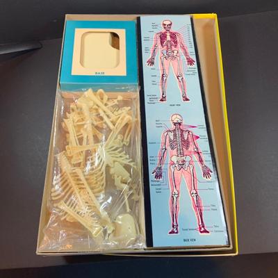 LOT 52: Vintage Renwal Human Skull Life Size Assembly Kit and Human Skeleton Assembly Kit and Lego Building Blocks