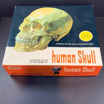 LOT 52: Vintage Renwal Human Skull Life Size Assembly Kit and Human Skeleton Assembly Kit and Lego Building Blocks