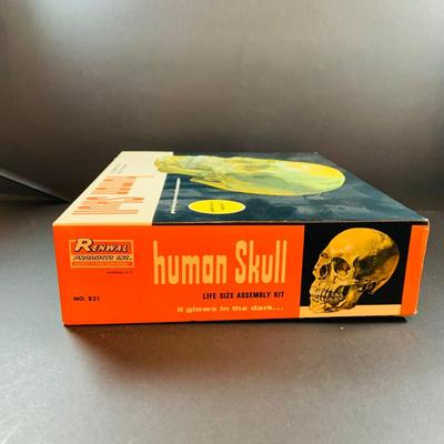 LOT 52: Vintage Renwal Human Skull Life Size Assembly Kit and Human Skeleton Assembly Kit and Lego Building Blocks