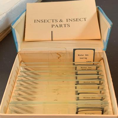 LOT:194: Vintage Sears Power Zoom Mircoscope in Original Wood Case with Slides and More