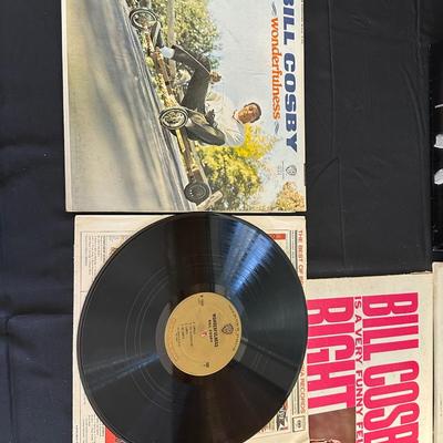 Lot of Vintage Classic Comedian Records including Steve Martin, Dave Gardner and More!