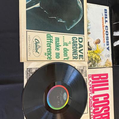 Lot of Vintage Classic Comedian Records including Steve Martin, Dave Gardner and More!