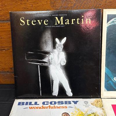 Lot of Vintage Classic Comedian Records including Steve Martin, Dave Gardner and More!