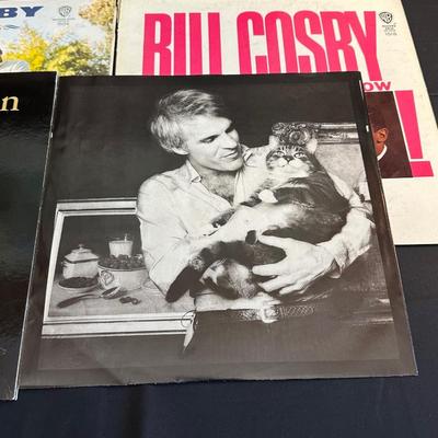 Lot of Vintage Classic Comedian Records including Steve Martin, Dave Gardner and More!