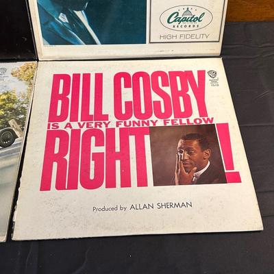 Lot of Vintage Classic Comedian Records including Steve Martin, Dave Gardner and More!