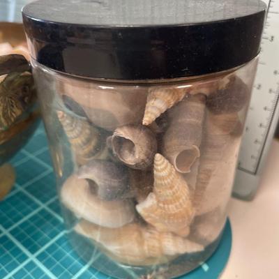 Shells in containers