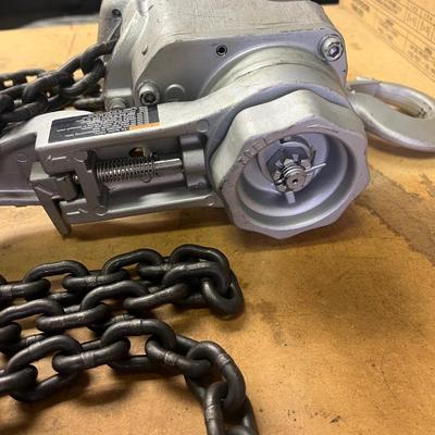 Little Mule 2000-Pound Capacity Level Chain Hoist (B2-MG)