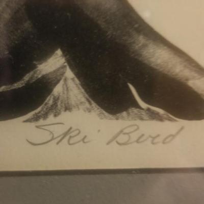 Ski Bird by Doris Klein
