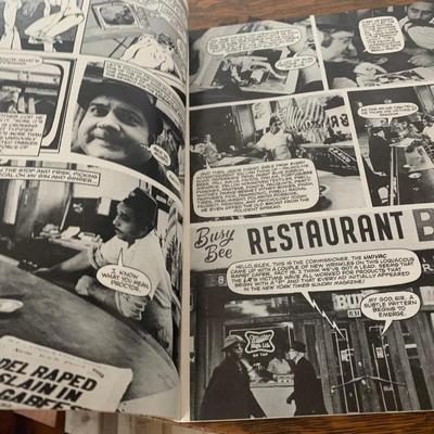Adult / Comedy Comics / Magazine Lot