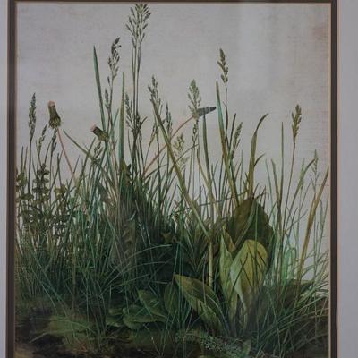 AFTER -ALBERT DUER PRINT BOTANICAL OF GRASSES AND FOLIAGE PRINT/ FRAMED