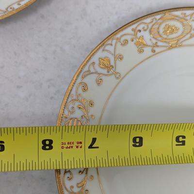 16 - Hand Painted Nippon Plates