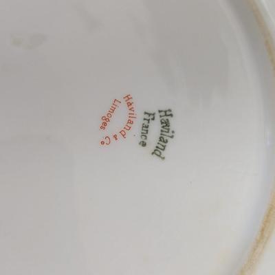 Haviland & Co. Limoges Plates Different Marks D. F. Richardson Toledo Ohio