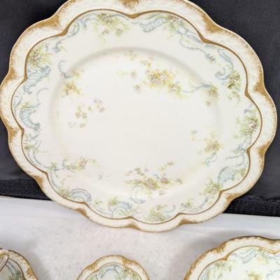 Haviland & Co. Limoges Plates Different Marks D. F. Richardson Toledo Ohio