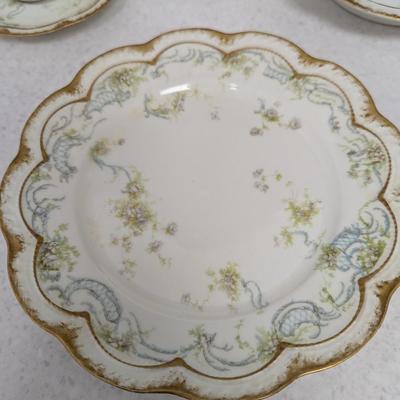 Haviland & Co. Limoges Plates Different Marks D. F. Richardson Toledo Ohio