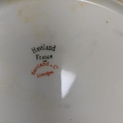 Haviland & Co. Limoges Plates Different Marks D. F. Richardson Toledo Ohio