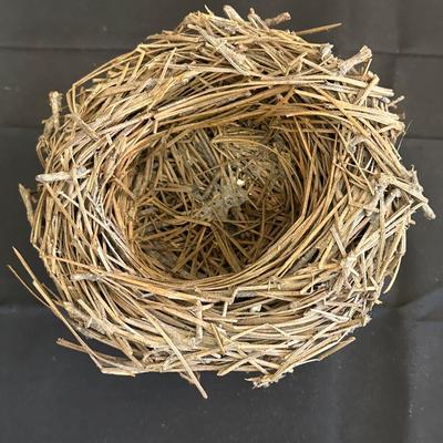 Lot of Bird Watching Items including Two Birdhouses and More!