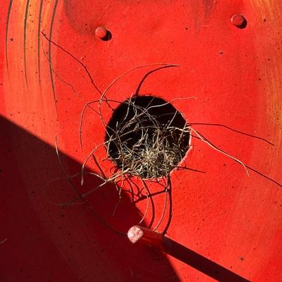 Lot of Bird Watching Items including Two Birdhouses and More!