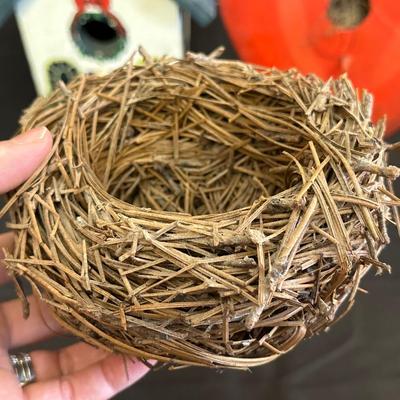 Lot of Bird Watching Items including Two Birdhouses and More!