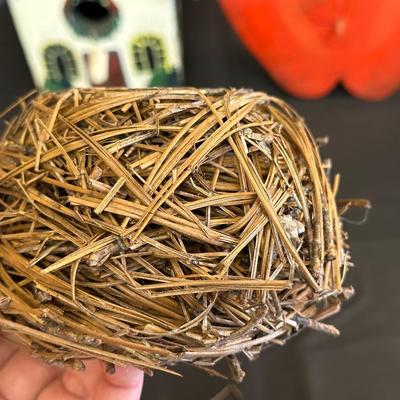 Lot of Bird Watching Items including Two Birdhouses and More!