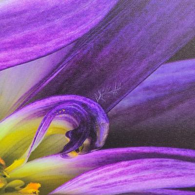 LOT 13A: Colorful, Floral Canvas Artwork