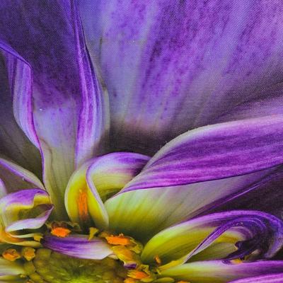 LOT 13A: Colorful, Floral Canvas Artwork