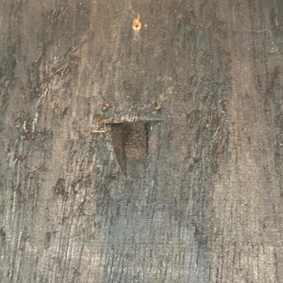 LOT 94C: Hand Carved Wooden Panel Of a Pareto Velho Signed “Duda”