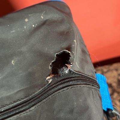 LOT 104C: Vintage GeoSafari Electronic Learning System w/ Cards & Bag