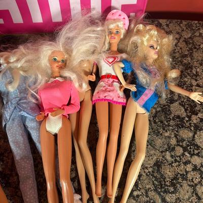 LOT 109C: Barbie Collection - Barbie & Ken Carrying Case, Accessories & More