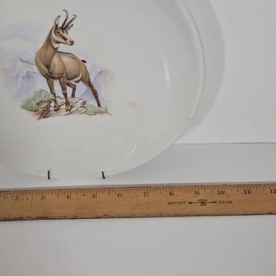 LOT 141B: Multiple Fun, Colorful Dishes and Plates