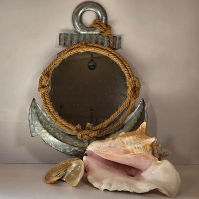 LOT 167B: Anchor Mirror, Large Conch Shell and Rare Speciman Natiulus Shell From the Philippines