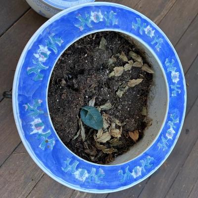 Two Porcelain Planters and a Stand