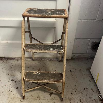 Two Step Stools & Werner Ladder (B2-MG)