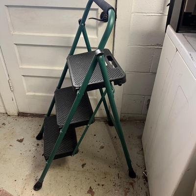 Two Step Stools & Werner Ladder (B2-MG)