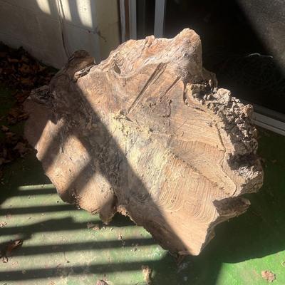 Cypress Tree Table (Y-MG)
