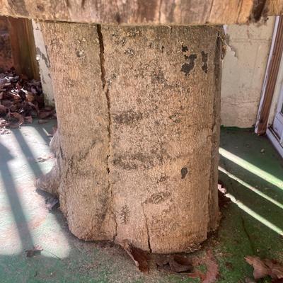 Cypress Tree Table (Y-MG)