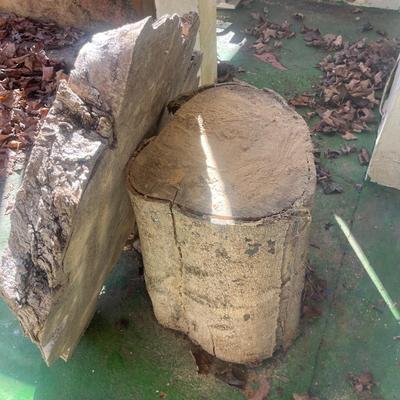 Cypress Tree Table (Y-MG)