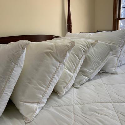 Lot of 6 King sized Quality Bed Pillows