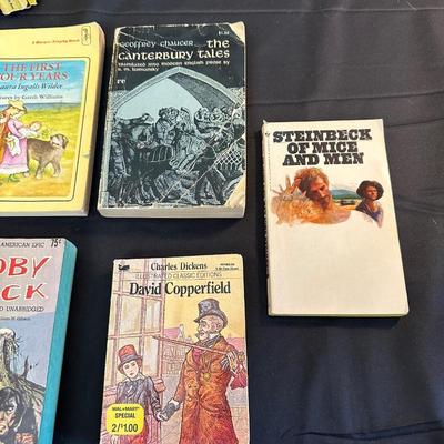 Lot of Vintage Paper Back Book Classics