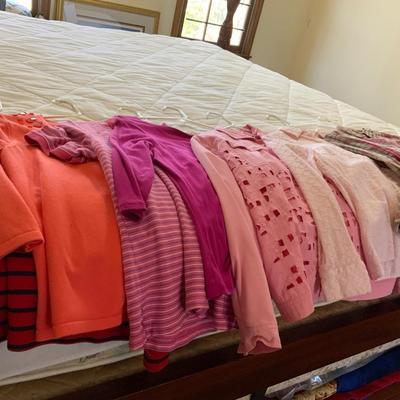 Lot of Ladies Pink Clothing sizes S, M, PS, PM Talbots and more