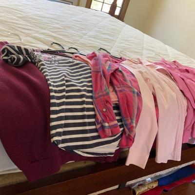 Lot of Ladies Pink Clothing sizes S, M, PS, PM Talbots and more