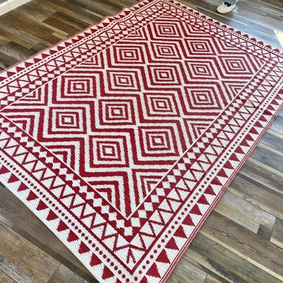 Lot 116 red outdoor rug