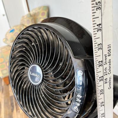 Lot 119 Small Fan