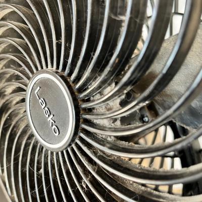 Lot 119 Small Fan
