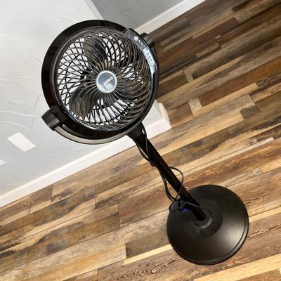 Lot 119 Small Fan