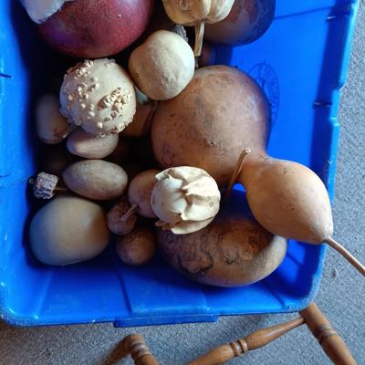 SMALL - MEDIUM DRIED GOURDS