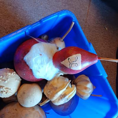 SMALL - MEDIUM DRIED GOURDS